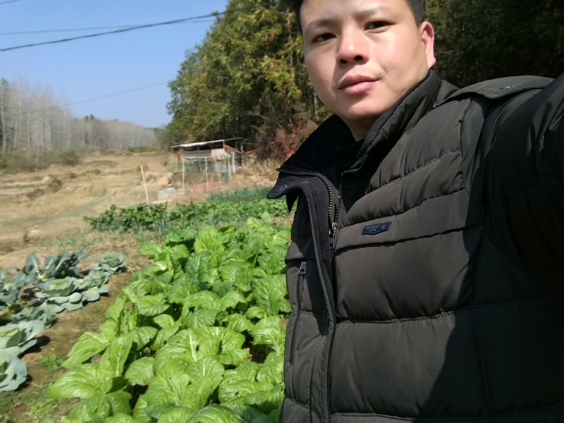 倔强的驴的第一张照片--永泰相亲网