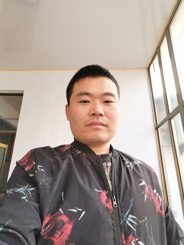 会飞的猪的第一张照片--永泰相亲网