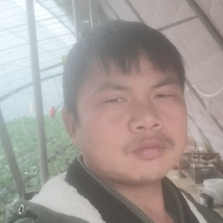 孤狼‘的第一张照片--永泰相亲网